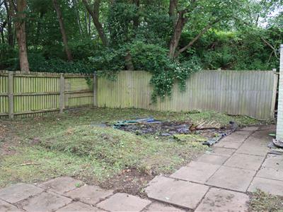 Picture 14